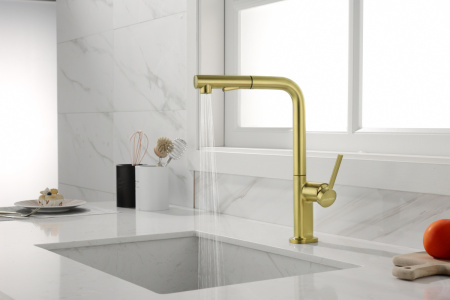 Смеситель для кухни Paulmark NEO Ne214419-BG на мойку золото